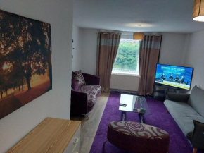 Superb 2 bedroom flat, sleeps 6 Croydon
